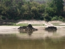 mekong (56)